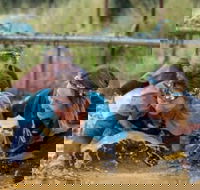 Suck It Up Buttercup Vikings Obstacle Course - Accommodation Tasmania