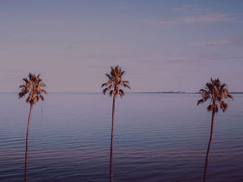 Sunset Streaming Live DJ Streams - Accommodation Tasmania 0