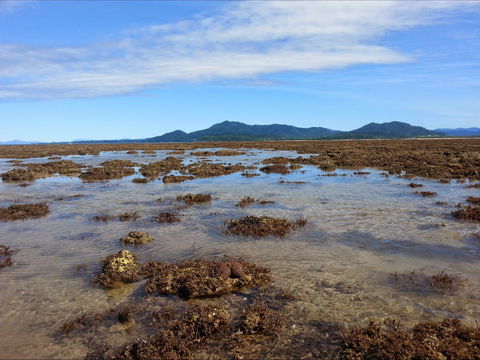 Walk To The Reef - Accommodation Tasmania 0