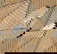 WA Now  Tom Mller Monolith Scores - Virtual Exhibition - Accommodation Tasmania