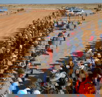 28th Marree Australasian CAMEL CUP 3 July 2021 - Accommodation Tasmania