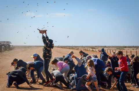28th Marree Australasian CAMEL CUP 3 July 2021 - Accommodation Tasmania 1