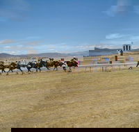 Adaminaby Cup Race Day - Accommodation Tasmania