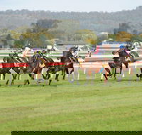Aggies Race Day - Accommodation Tasmania