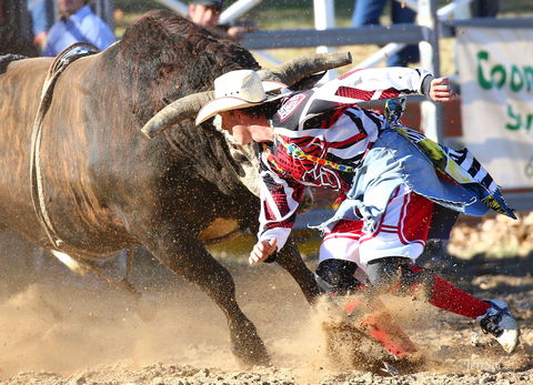 AgriWest Cooma Rodeo - Accommodation Tasmania 2