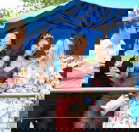 Bet 365 Caulfield Cup Day at Wodonga Race Course - Accommodation Tasmania