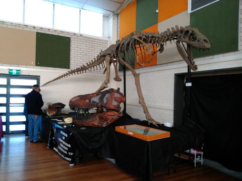 Carlingford Gem And Mineral Expo - Accommodation Tasmania 1