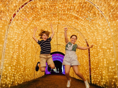 Christmas Lights Spectacular New Year's Eve At Hunter Valley Gardens - Accommodation Tasmania 0