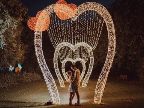 Christmas Lights Spectacular New Year's Eve At Hunter Valley Gardens - Accommodation Tasmania 1