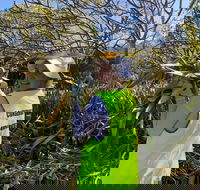 Conservation Volunteers Australia Townsville - Beach Scrub Conservation - Accommodation Tasmania