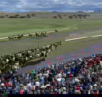Cooma Sundowners Cup - Accommodation Tasmania