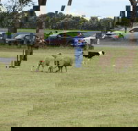 Dean Sheepdog Trials - Old Sniff Classic - Accommodation Tasmania
