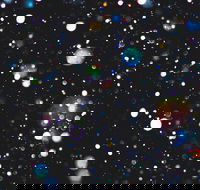 Eclectic by Murray Conservatorium - Accommodation Tasmania