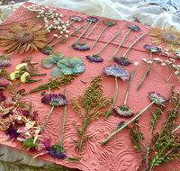 Introduction to Paper Making - Accommodation Tasmania