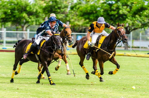 Land Rover Polo  In The City - Accommodation Tasmania 1