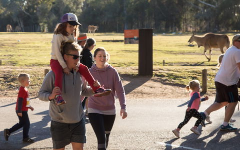 MAAS Group Dubbo Stampede Running Festival - Accommodation Tasmania 1