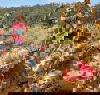 Mini Muddies Obstacle Challenge at Bunnamagoo Estate - Accommodation Tasmania