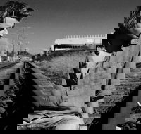 Music in the Gardens - Mitch King - Accommodation Tasmania