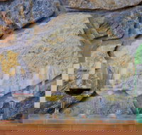 Peter Teakle Wines - Accommodation Tasmania