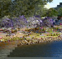Shoalhaven River Festival - Accommodation Tasmania