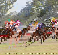 Thangool Races - Accommodation Tasmania