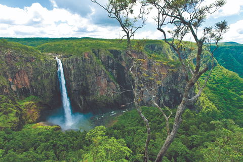 The Garden Clubs Of Australia Inc AGM And Biennial Convention 2021 - Accommodation Tasmania 1