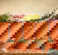 Tumbarumba Spring Flower Festival - Accommodation Tasmania