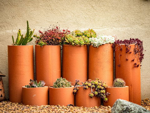 Tumbarumba Spring Flower Festival - Accommodation Tasmania 0