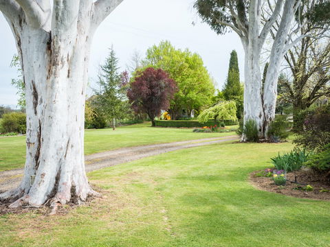 Tumbarumba Spring Flower Festival - Accommodation Tasmania 2