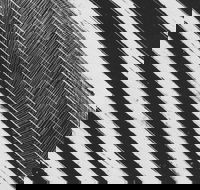 WA Now  Tom Mller Monolith Scores - Accommodation Tasmania