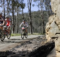 Wollombi Wild Ride Mountain Bike Ride - Accommodation Tasmania