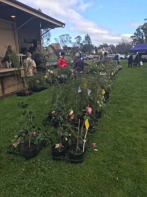 Yea Railway Market - Accommodation Tasmania 2