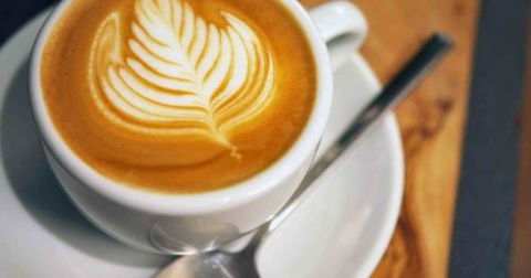 A Wild Night Out - Spring - Accommodation Tasmania 3