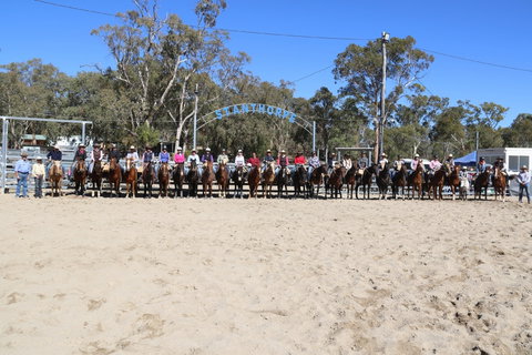 Australian Campdraft Association National Finals Campdraft 2021 - Accommodation Tasmania 0