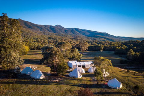 A Wild Night Out - Spring - Accommodation Tasmania 5