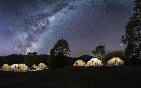 A Wild Night Out - Spring - Accommodation Tasmania 6
