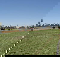 Balranald Races -Derby Day - Accommodation Tasmania