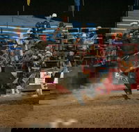 Black Opal Bull and Bronc Ride - Accommodation Tasmania