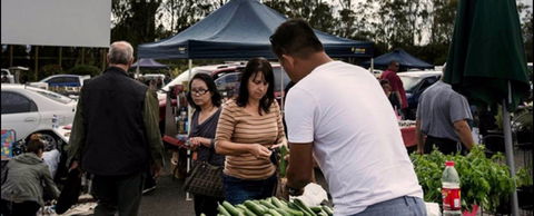 Blacktown Markets - Accommodation Tasmania 0