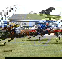 Bong Bong Picnic Races - Accommodation Tasmania