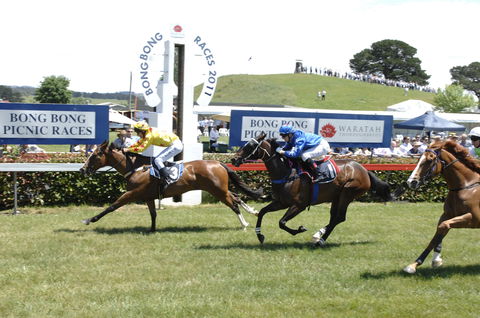 Bong Bong Picnic Races - Accommodation Tasmania 0