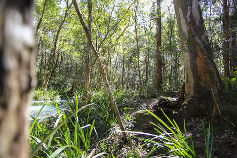 Bottlebutt Bash Trail Run - Accommodation Tasmania 0