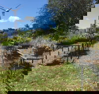 Conservation Volunteers Australia Townsville - Ocean View Nursery - Accommodation Tasmania