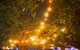 Festivale - thumb 0