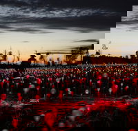 Field of Light Uluru - Accommodation Tasmania