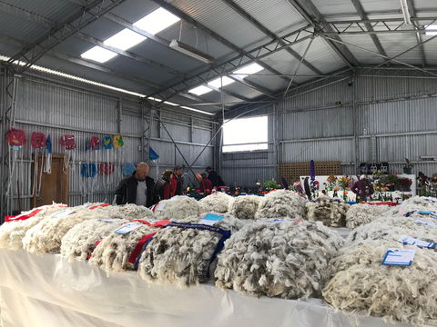 Flinders Island Show - Accommodation Tasmania 2