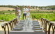 Four Seasons In The Armagh Vineyard - thumb 5