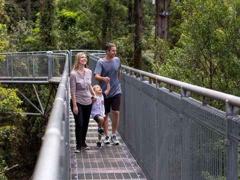 Get Back To Nature These July School Holidays! - Accommodation Tasmania 1