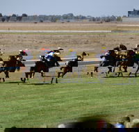 Jerilderie Gold Cup Races - Accommodation Tasmania