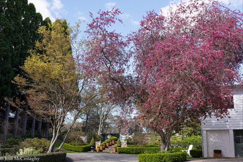 Leura Gardens Festival - Cancelled - Accommodation Tasmania 0